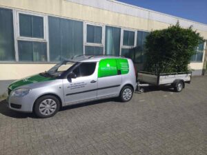 Referenz Gartenarbeiten