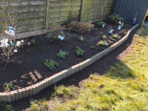 Referenz Gartenarbeiten anlegen eines Beets