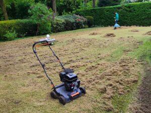 Referenz Objektbetreuung Rasenarbeiten