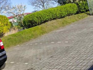 Referenz Parkplatzpflege