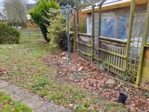 Referenz Strauchentfernung (2)