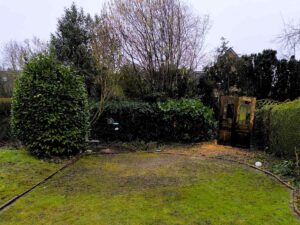 Referenz Strauchentfernung